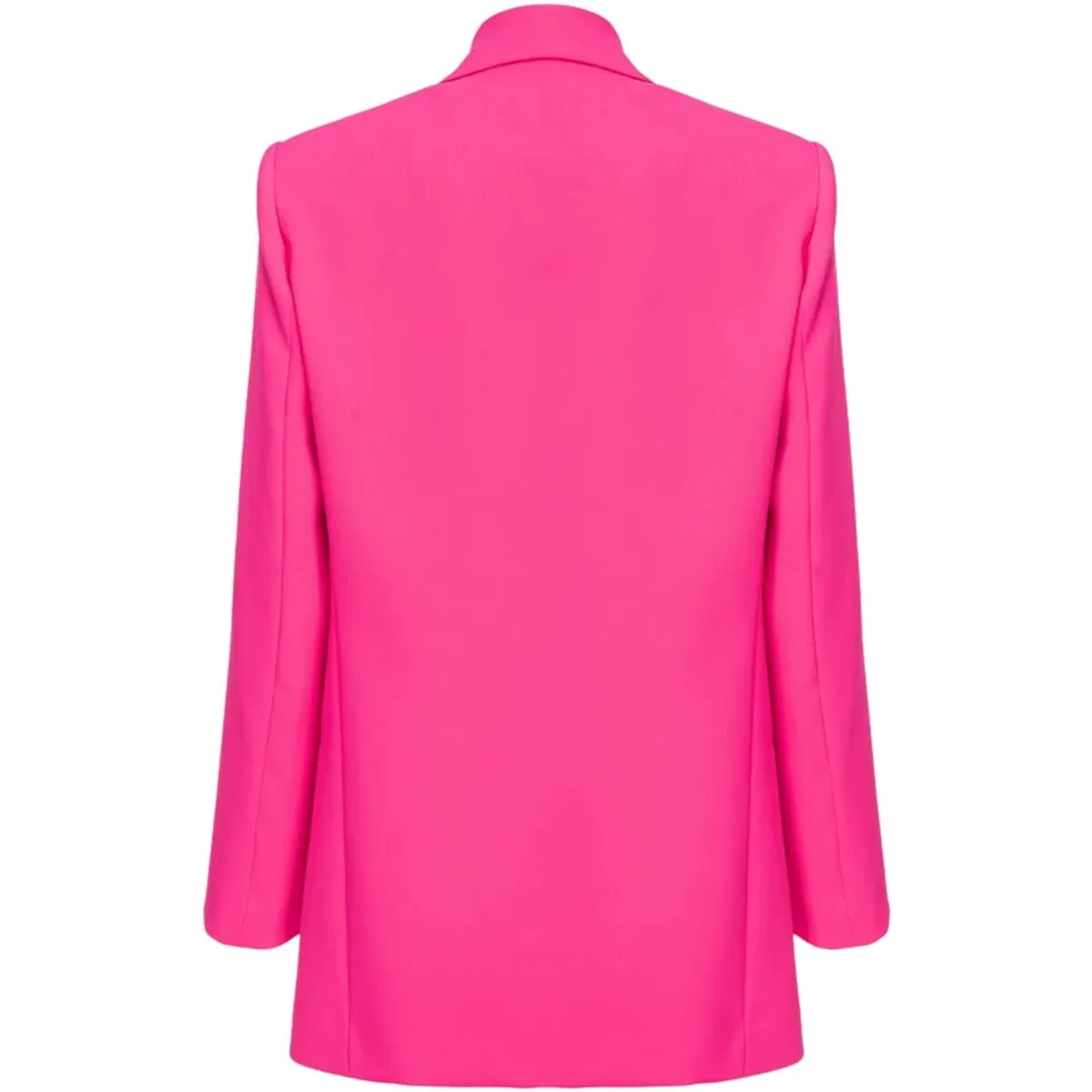 102858 - giacca - pinko