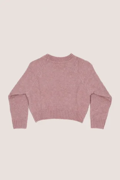 Maglione girocollo con logo EF a contrasto SOFT BERRY/BURRO