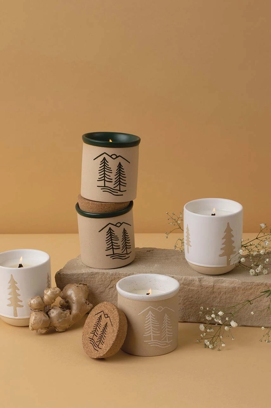 Paddywax candele profumate di soia Cypress & Fir 240 g