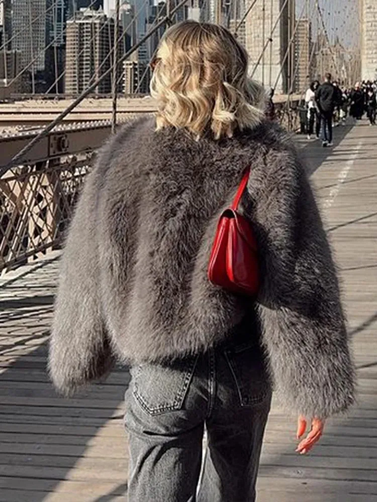 Pelliccia Corta Donna Casual Elegante Autunno Inverno Manica Lunga Girocollo Tinta Unita Grigio