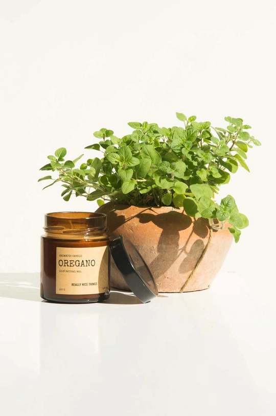 Really Nice Things set di candele profumate Tomato Leaf & Oregano 2 x 100 g pacco da 2