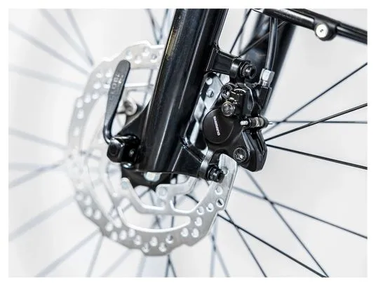 Trek Verve+ 1 Bicicletta elettrica da città Shimano Tourney/Altus 8V 500 Wh Grigio 2023