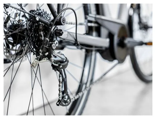 Trek Verve+ 1 Bicicletta elettrica da città Shimano Tourney/Altus 8V 500 Wh Grigio 2023